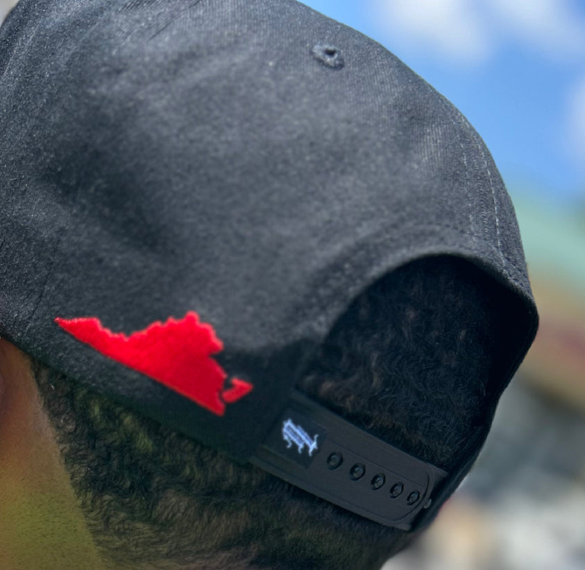 "City Script" Snapback